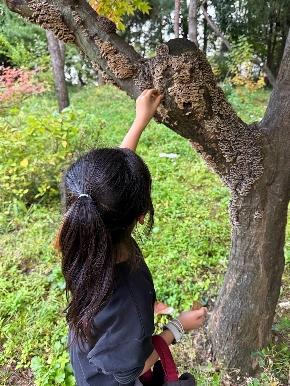 KakaoTalk_20251120_234600917_14